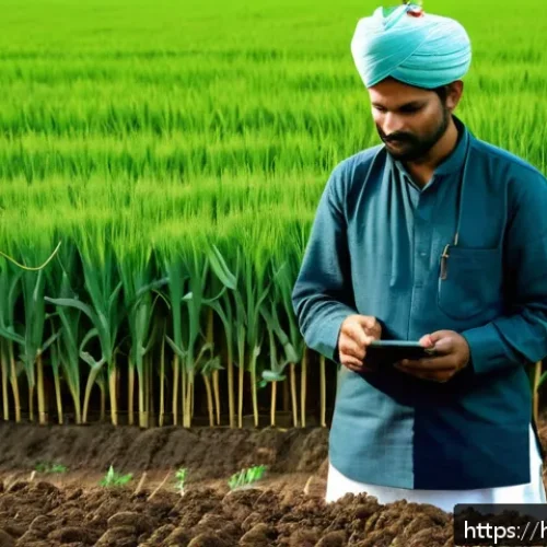 농업 AI 기반 데이터 분석 - A detailed scene of a Hindi-speaking Indian farmer in traditional attire standing in a lush green wh...
